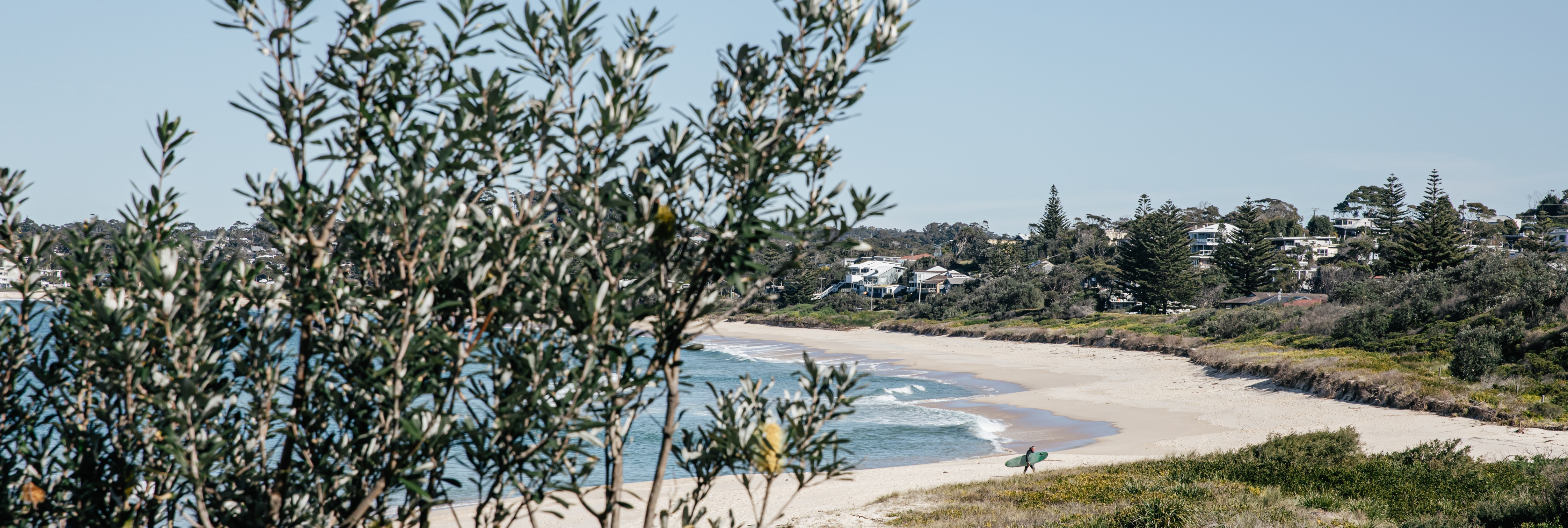 Come and explore Mollymook